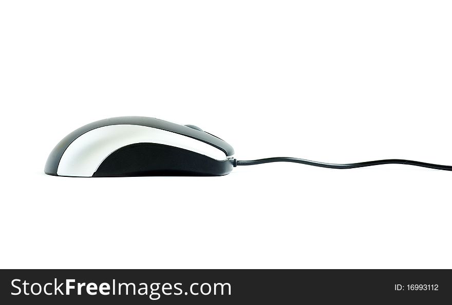 Computer mouse isolated on a white background