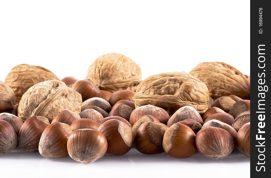 Walnuts and hazelnuts in line on a white background. Walnuts and hazelnuts in line on a white background.