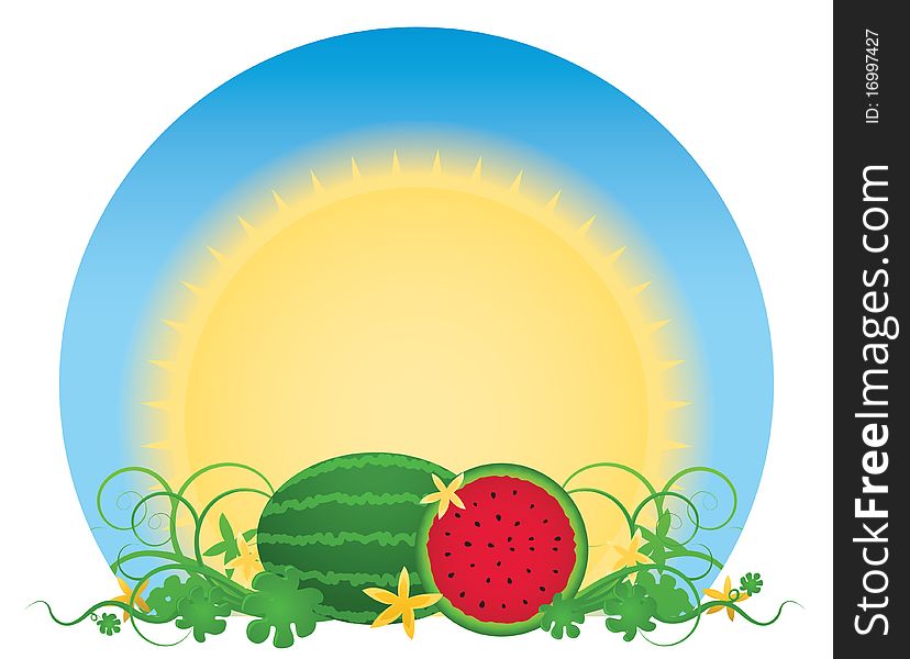 Glowing summer sun over a patch of juicy, ready-to-eat watermelons surrounded by swirling vines and creamy yellow flowers; file contains clipping path. Glowing summer sun over a patch of juicy, ready-to-eat watermelons surrounded by swirling vines and creamy yellow flowers; file contains clipping path.