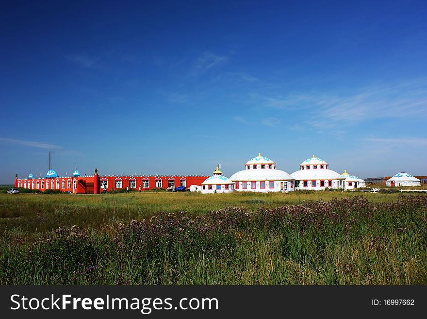 Landscape Of Grassland