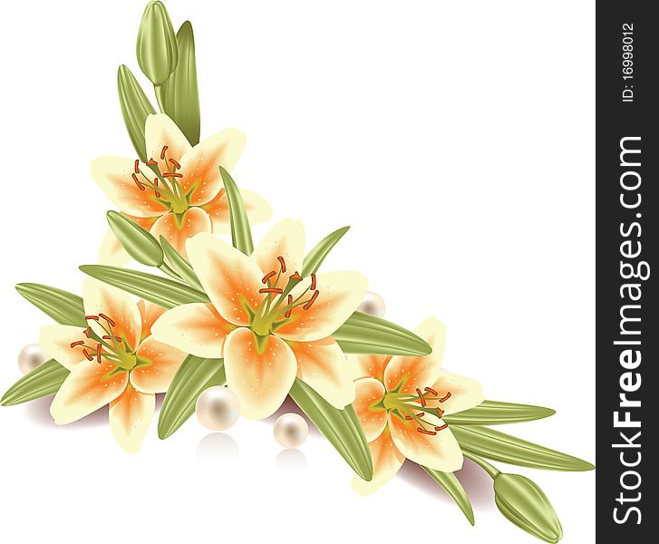 Vector illustration of flower arrangement with lilies. Vector illustration of flower arrangement with lilies.