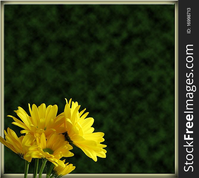 Bunch of Yellow Daisies Border on Green; for scrapbooking, copyspace