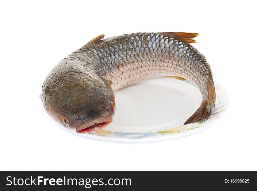 Series. Raw fish isolated on white background