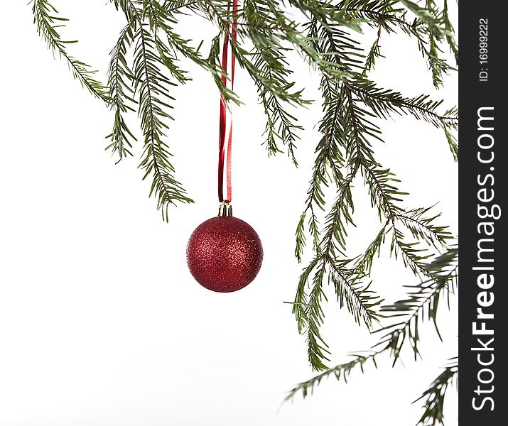 Red Christmas ball hanging from Tree