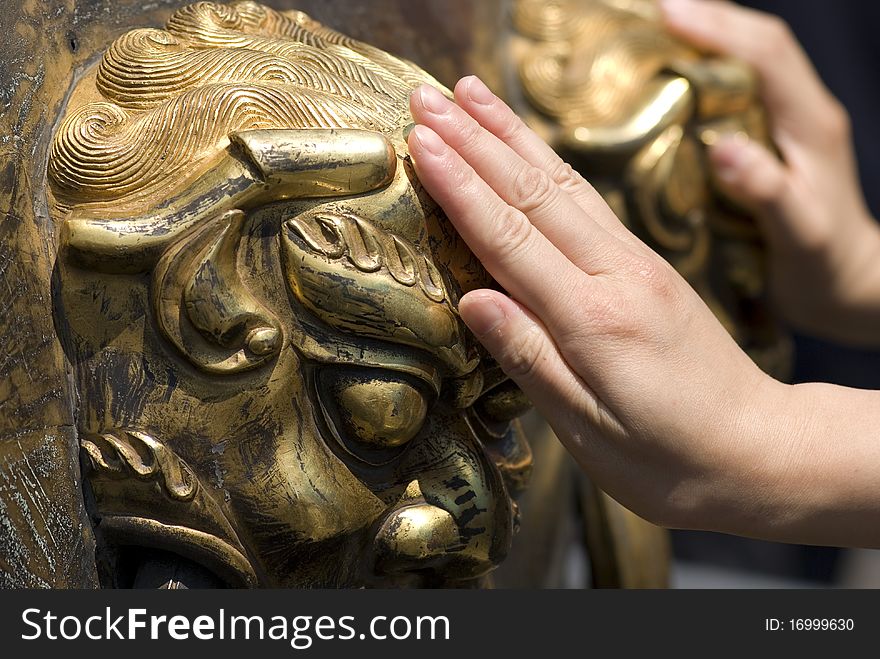 Head Of Cupreous Lion And Hands