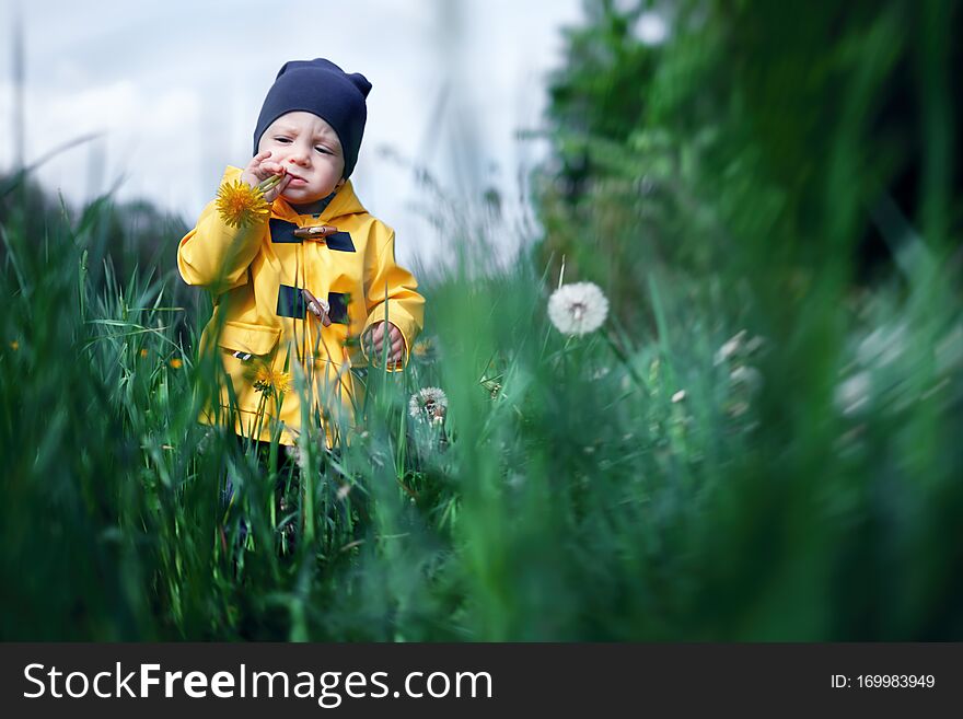 Kid in yellow jacket playing in grass with dandelion