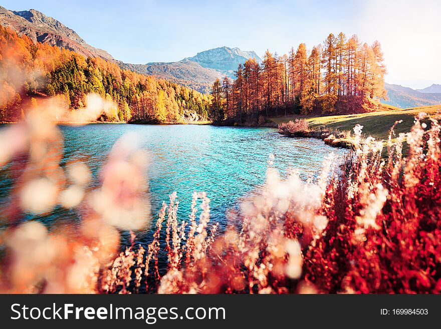 Picturesque view on Silvaplana lake in Swiss Alps, Switzerland. Landscape photography