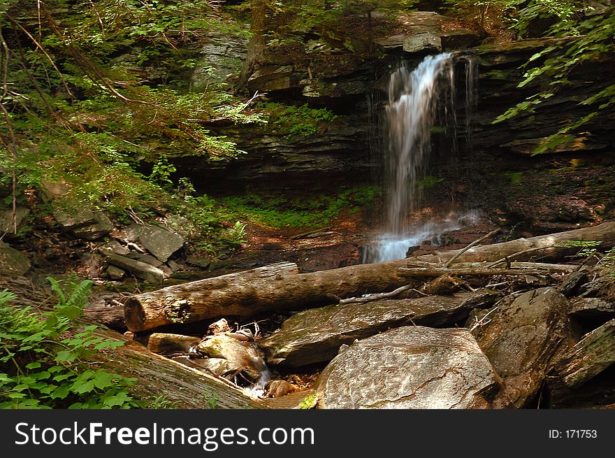 Small waterfall in a wooded setting.