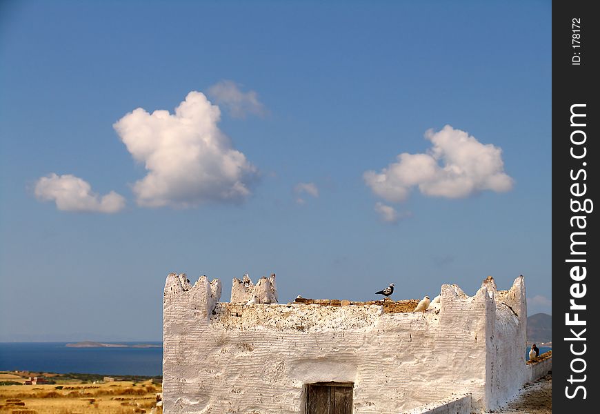 Doves in a Greek island