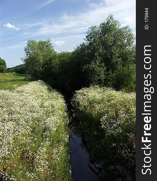 Spring landscape. Spring landscape