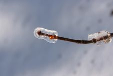 Snow And Ice Storm Royalty Free Stock Photography Snow And Ice Storm Royalty Free Stock Photography