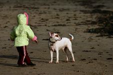 Child Playing With Dog On Beach Stock Photography Child Playing With Dog On Beach Stock Photography