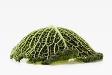 Green Cabbage Royalty Free Stock Images