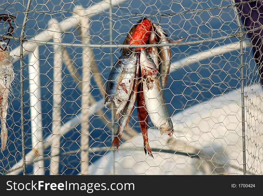 Fishing series - fish trap/coop