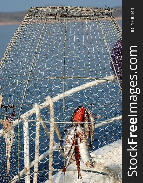 Fishing series - fish trap/coop