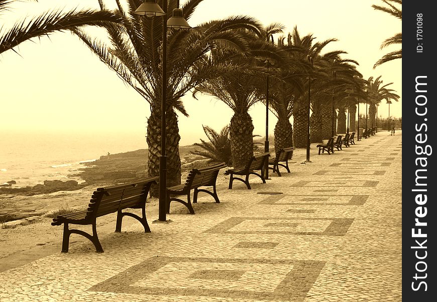 Seaside walk with chairs and palms