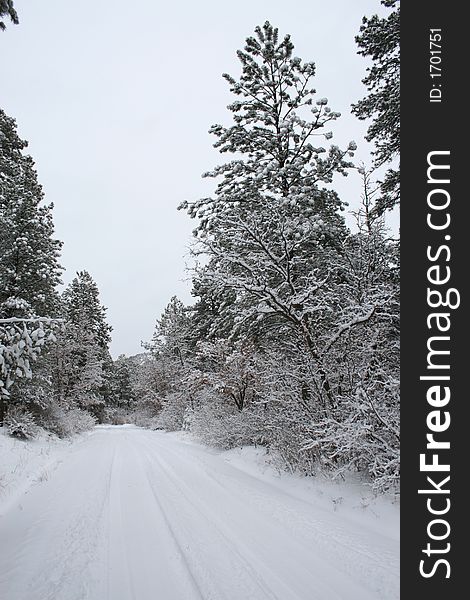 A snowy road in the mountains