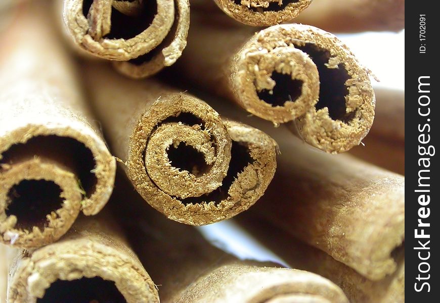 Close-up view of a cinnamon sticks