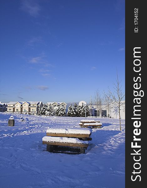 Snow scene over blue sky