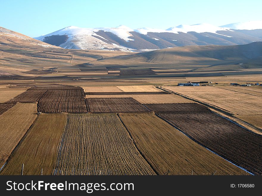 Castelluccio / mountain and fields detail 1