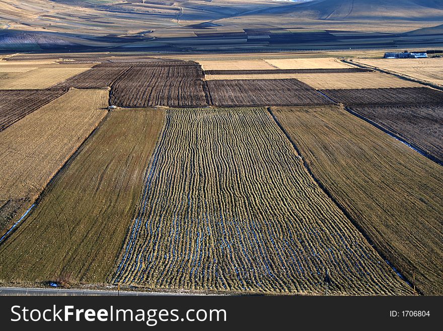 Castelluccio / fields detail