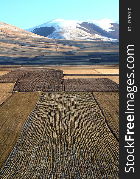 Castelluccio / Mountain And Fields Detail 4