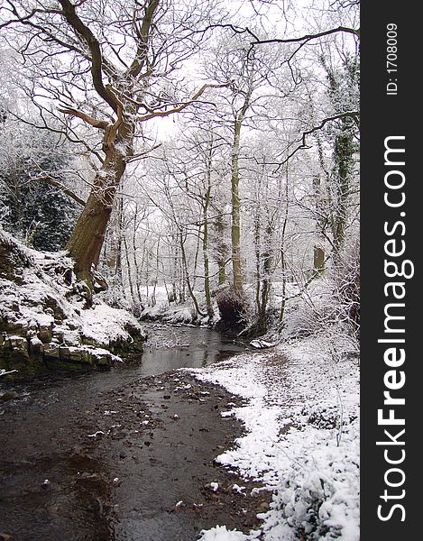 A winter stream  winds its way along