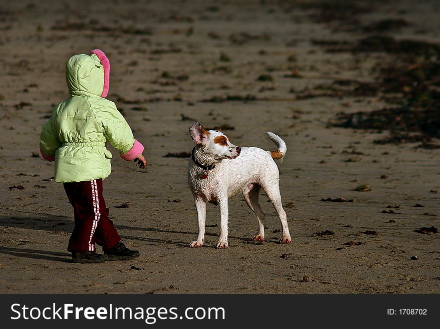 Child just tossed a ball and is playing with dog on beach. Child just tossed a ball and is playing with dog on beach