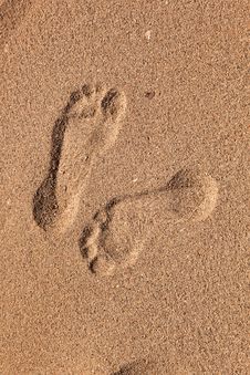 Footprints Of Man At The Beach Royalty Free Stock Image Footprints Of Man At The Beach Royalty Free Stock Image
