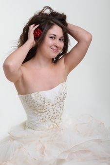 Smiling Bride In Wedding Dress Royalty Free Stock Photo Smiling Bride In Wedding Dress Royalty Free Stock Photo
