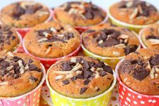 Muffin With Choc-chip Royalty Free Stock Photography Muffin With Choc-chip Royalty Free Stock Photography