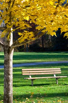 Solitude In The Park Royalty Free Stock Image Solitude In The Park Royalty Free Stock Image