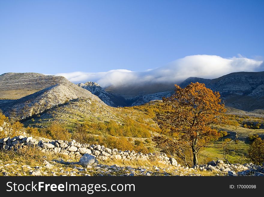 Photographed early in the morning - wonderful conditions for photo of the day. Photographed early in the morning - wonderful conditions for photo of the day