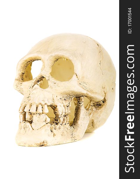 Plastic skull isolated on the white background