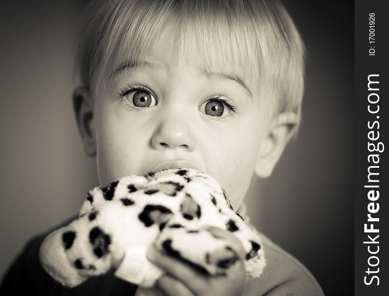 Little girl biting her stuffed leopard toy. Little girl biting her stuffed leopard toy