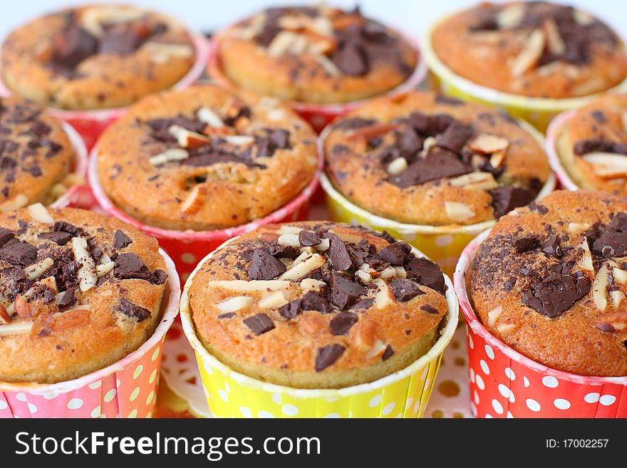 Muffin with choc-chip