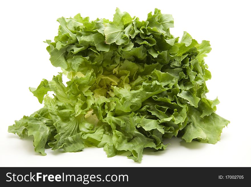 Fresh endive salad onto white background. Fresh endive salad onto white background