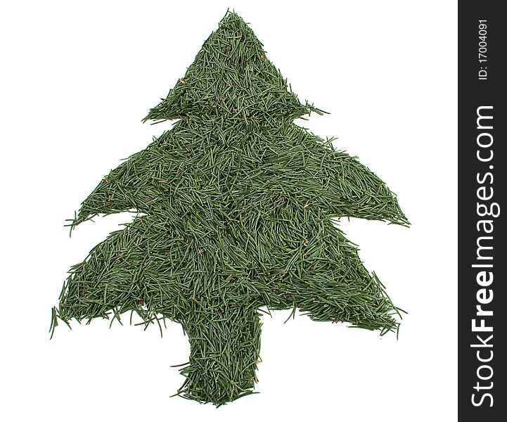 Green tree of the needles on a white background