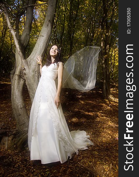 Trash the dress in autumn forest