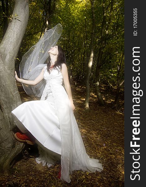 Beautiful bride in fairy tale forest. Beautiful bride in fairy tale forest