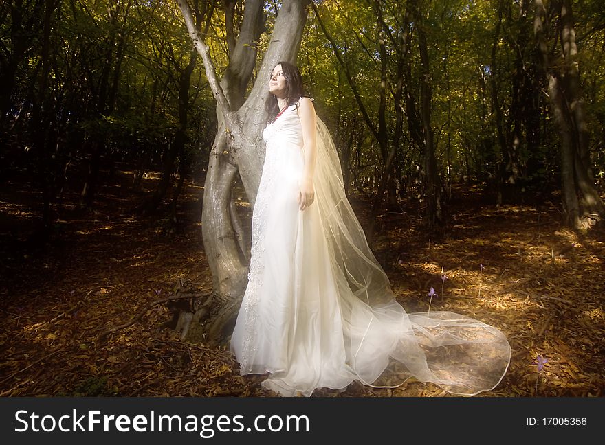 Beautiful bride in fairy tale forest. Beautiful bride in fairy tale forest