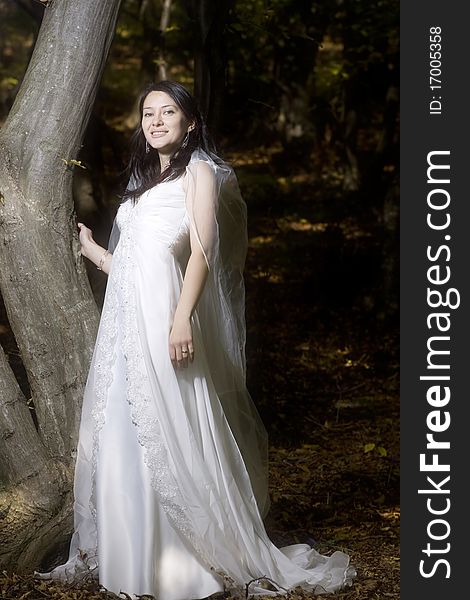 Beautiful bride in fairy tale forest. Beautiful bride in fairy tale forest