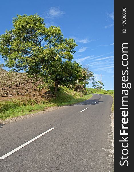 The road and the tree in the countryside