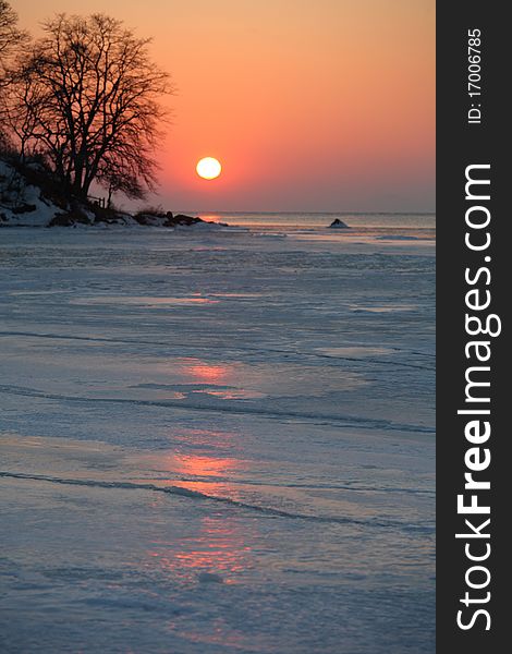 Beautiful lonely tree in winter. Snowy landscape. Beautiful lonely tree in winter. Snowy landscape