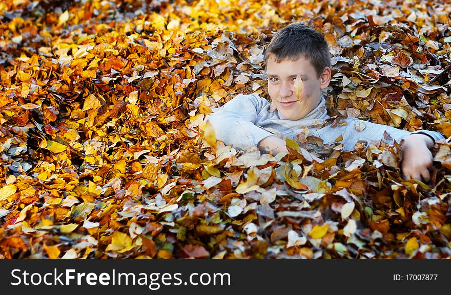 Boy In Autumn Leaves