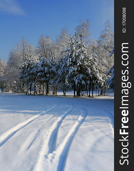 Snow-covered road in the village