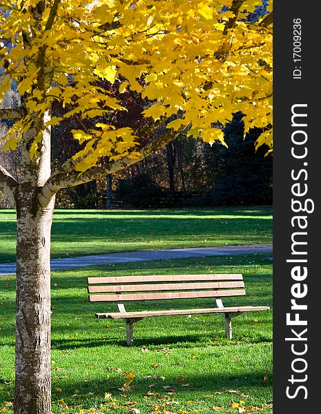 Isolated park bench in the park during the quiet month of October. Isolated park bench in the park during the quiet month of October