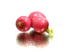 Radish Royalty Free Stock Photos Radish Royalty Free Stock Photos