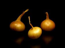 Bulbs Of Onion Stock Image