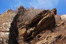Stone Tortoise Guarded Wall Stock Photography Stone Tortoise Guarded Wall Stock Photography